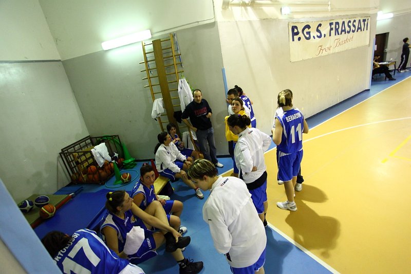 Basket 443068
